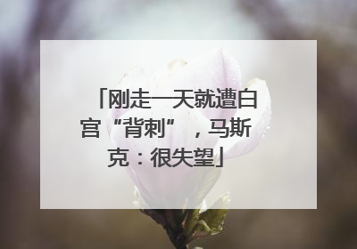 刚走一天就遭白宫“背刺”，马斯克：很失望